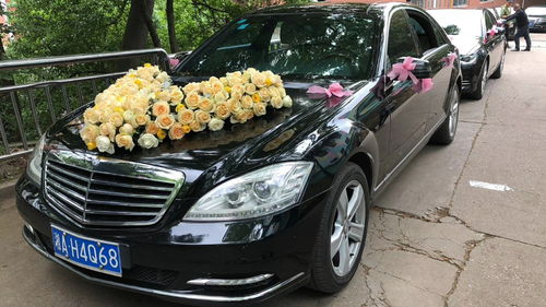 河南租車報價、廠家資源與二手車經(jīng)銷市場概覽